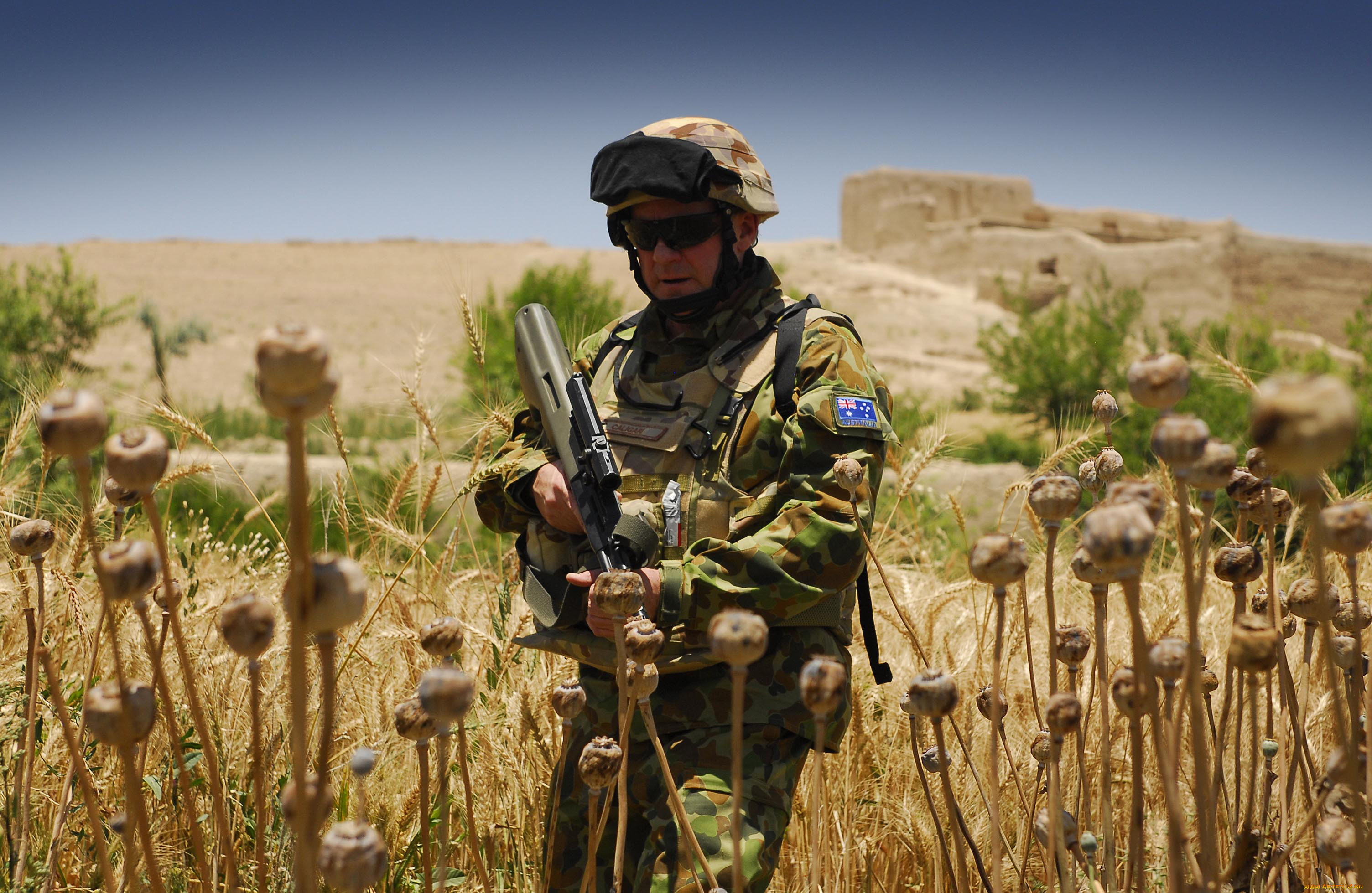 , , , army, military